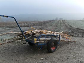 Stecken werden in den Wald gebracht